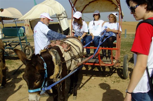 הדרכת מנהלים בעזרת אתגרים בחווה